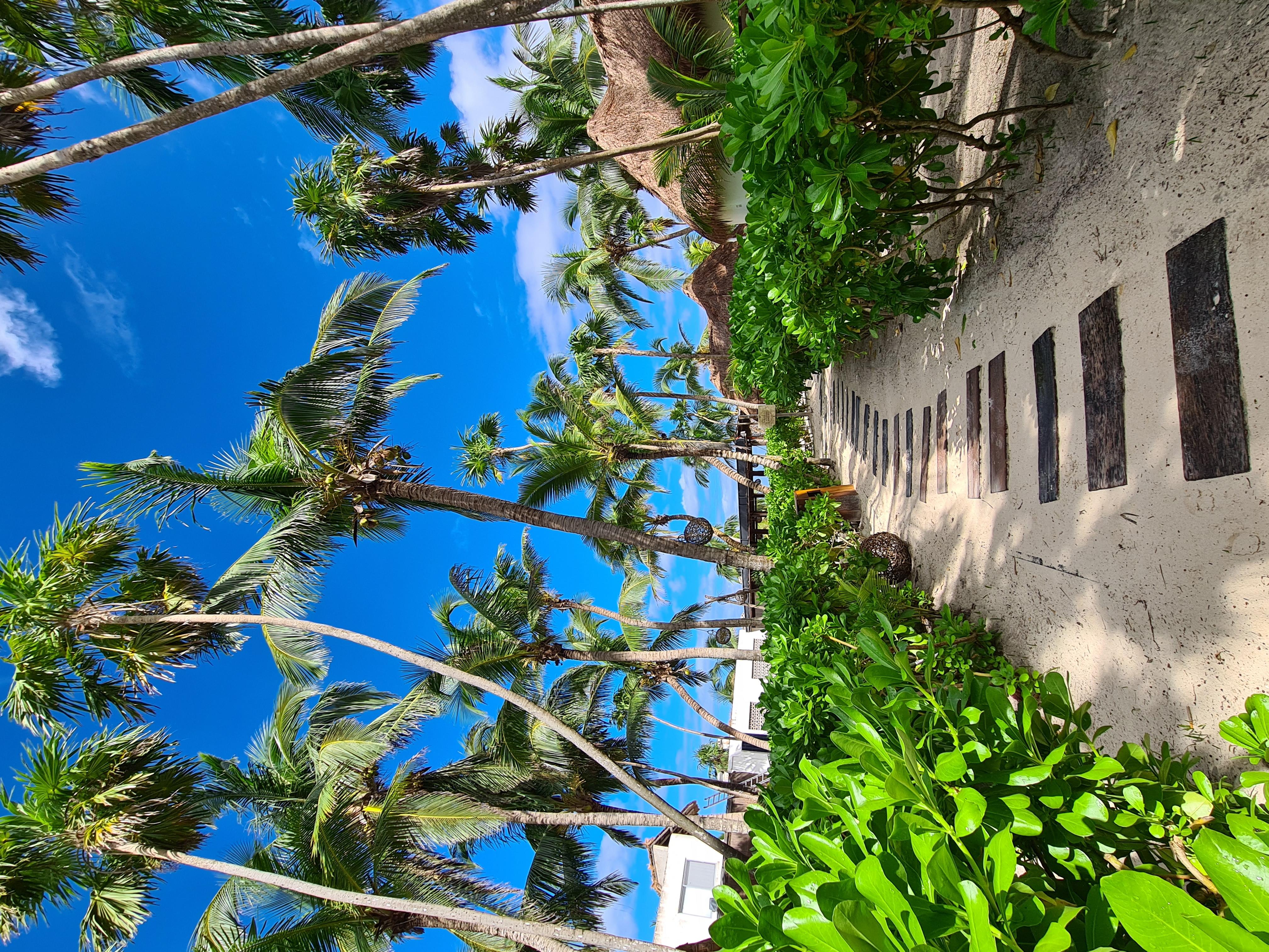 Los Amigos Beach Hotel Boutique Tulum Exteriér fotografie
