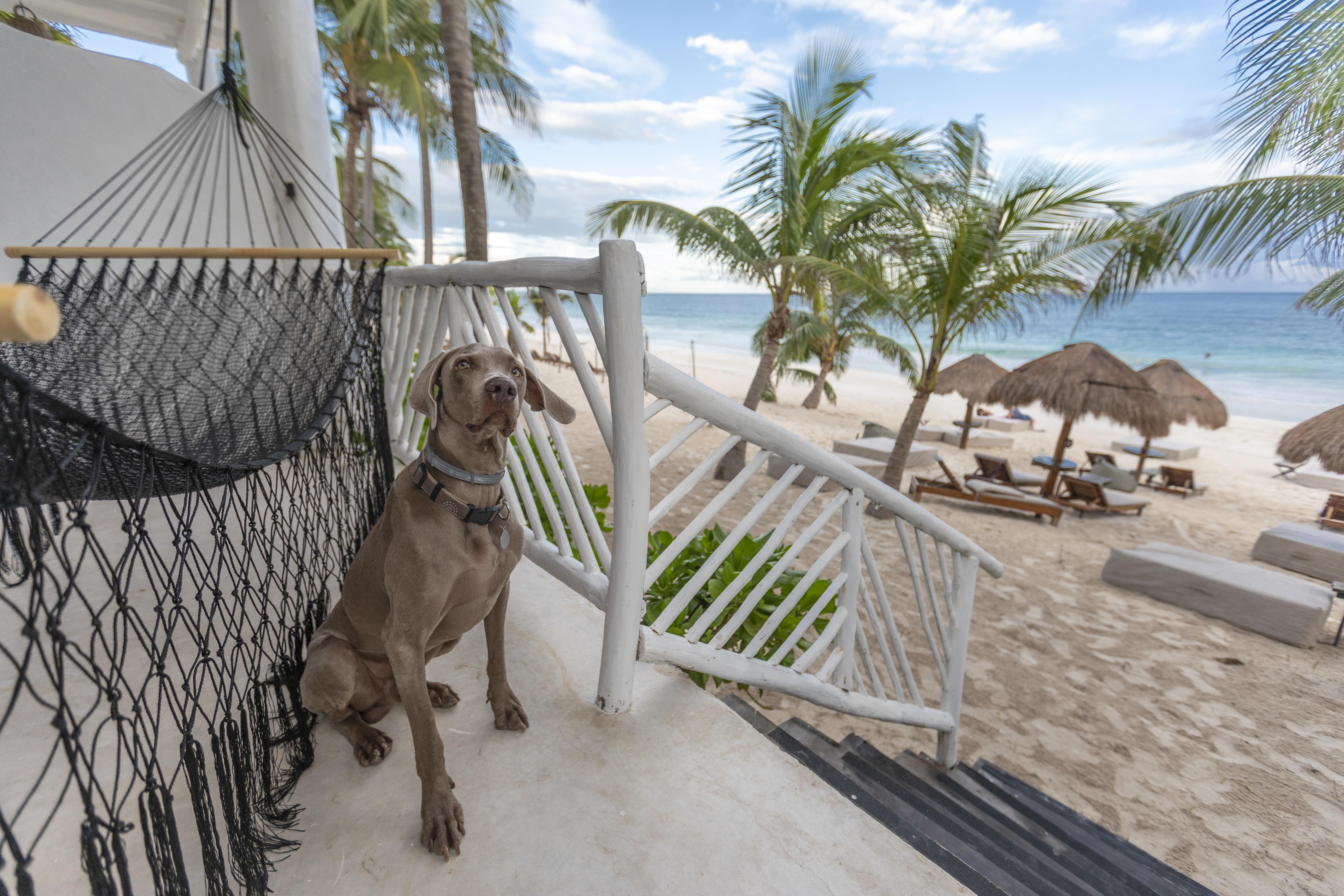 Los Amigos Beach Hotel Boutique Tulum Exteriér fotografie