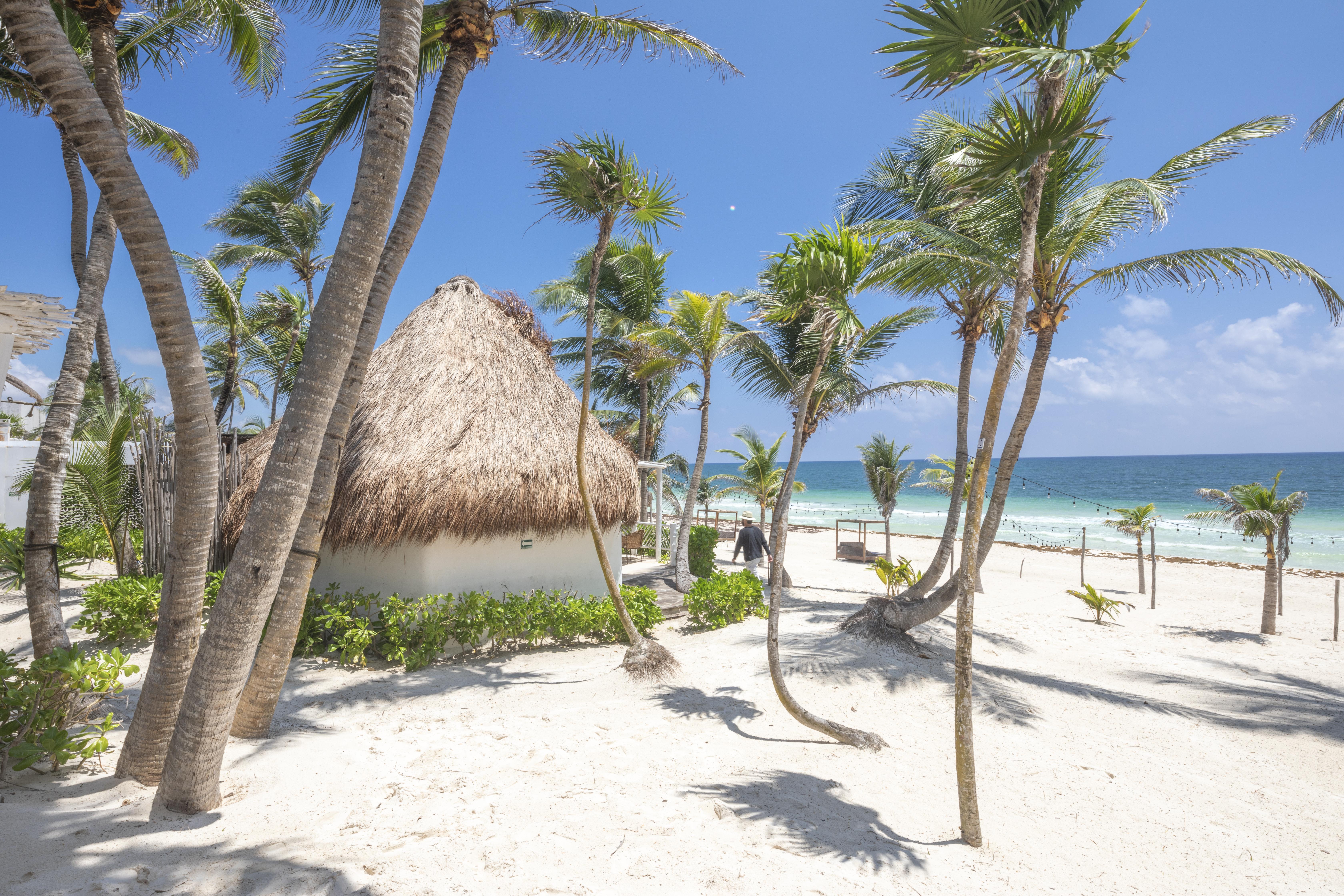 Los Amigos Beach Hotel Boutique Tulum Exteriér fotografie
