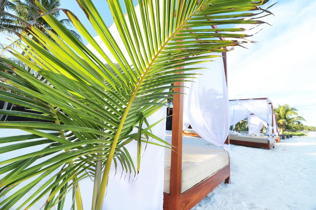 Los Amigos Beach Hotel Boutique Tulum Exteriér fotografie